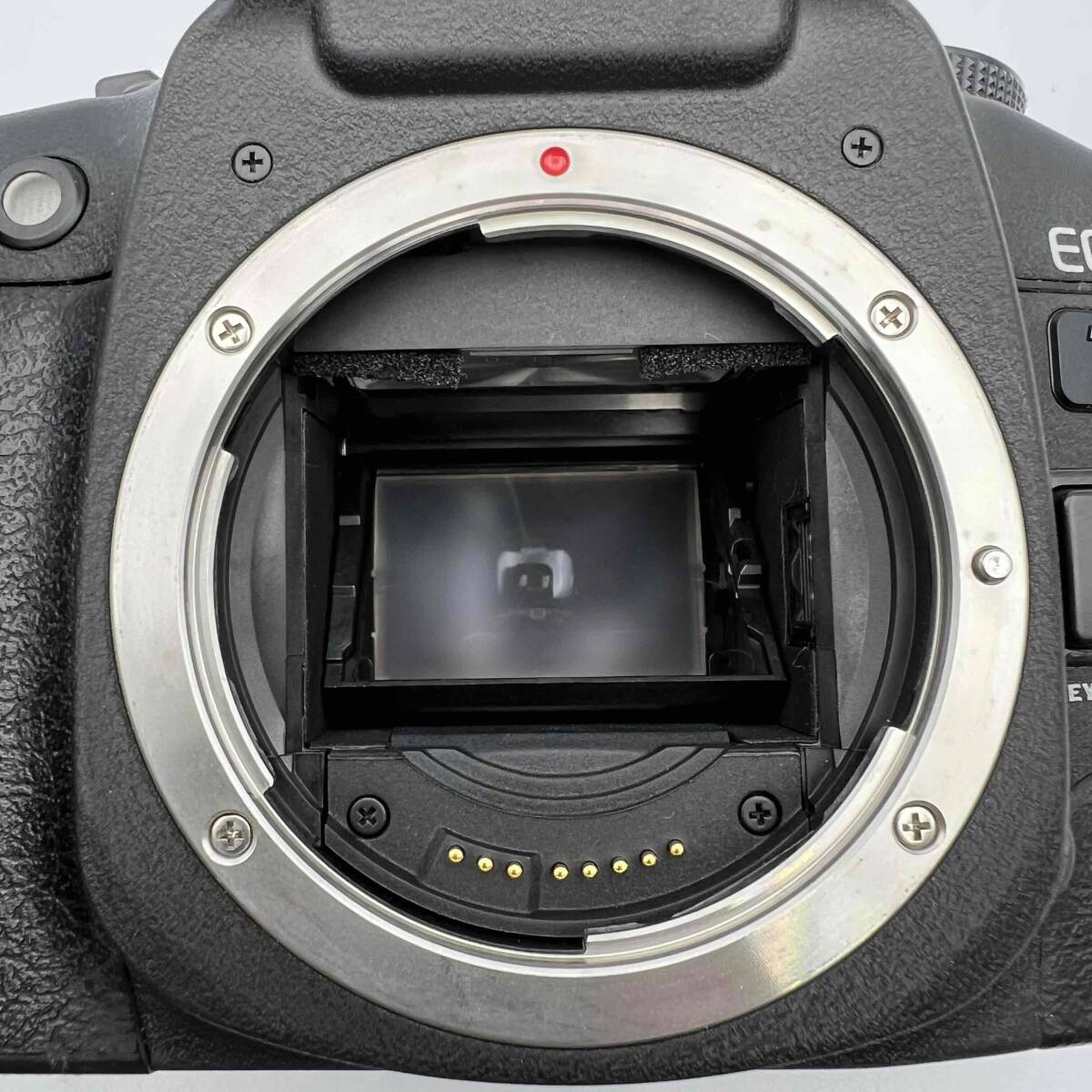 CANON キャノン EOS7s フィルム一眼レフカメラ / CANON ZOOM LENS EF 28-135mm F3.5-5.6 IS / セット販売 動作確認済み 現状品 _画像8