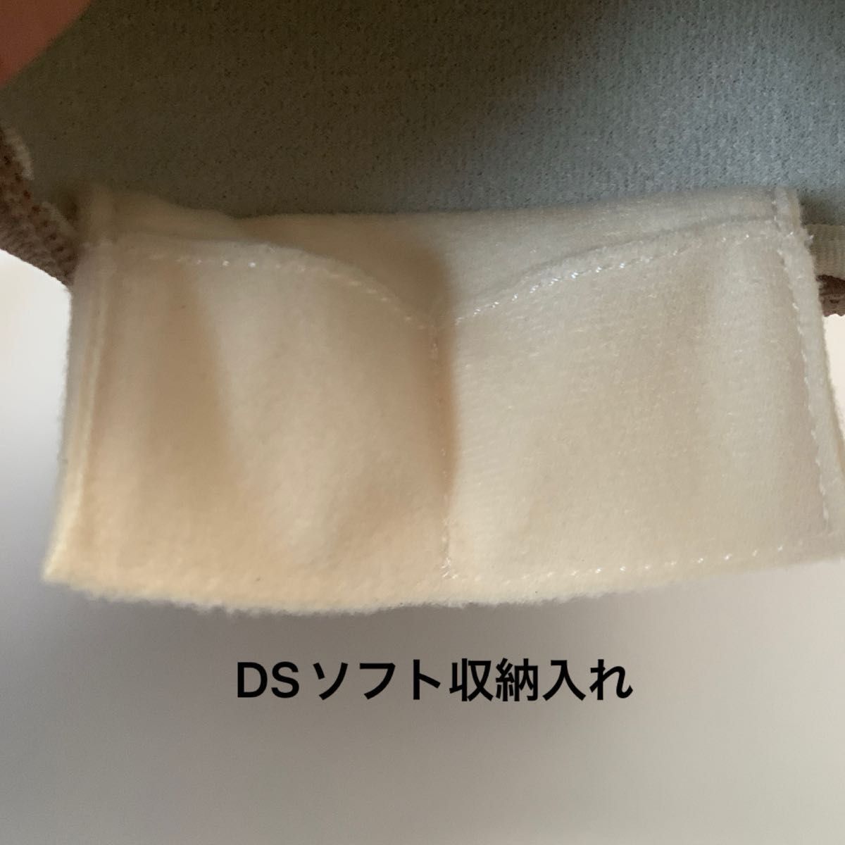 [1395]ニンテンドーDS lite用ケース