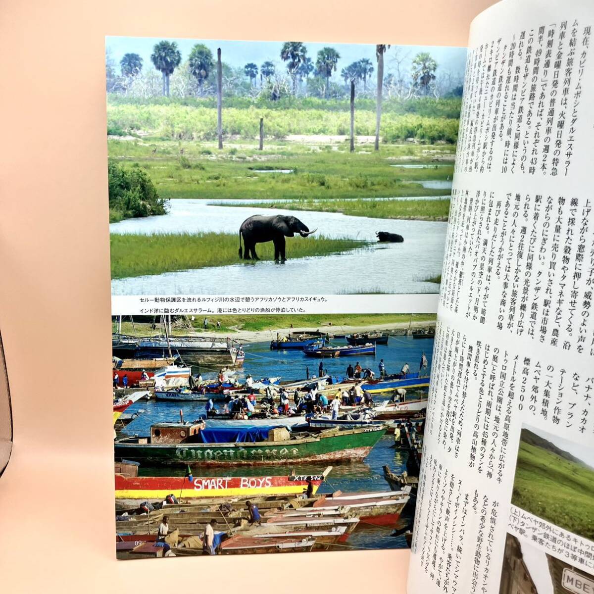 月刊世界の車窓からDVDブック NO.44 (ザンビア・タンザニア)_画像9