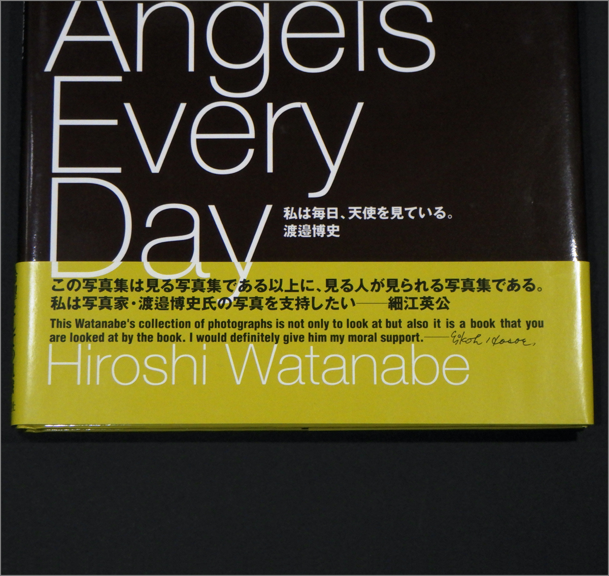 「私は毎日、天使を見ている。」渡邉博史,鈴城雅文,細江英公,エクアドル,精神病院_画像2