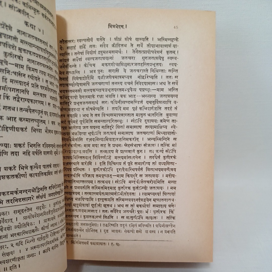 ☆ヴィシュヌ シャルマ パンチャタントラ 「Pancatantra of Visnusarman 」サンスクリット　英語　寓話　梵語_画像8