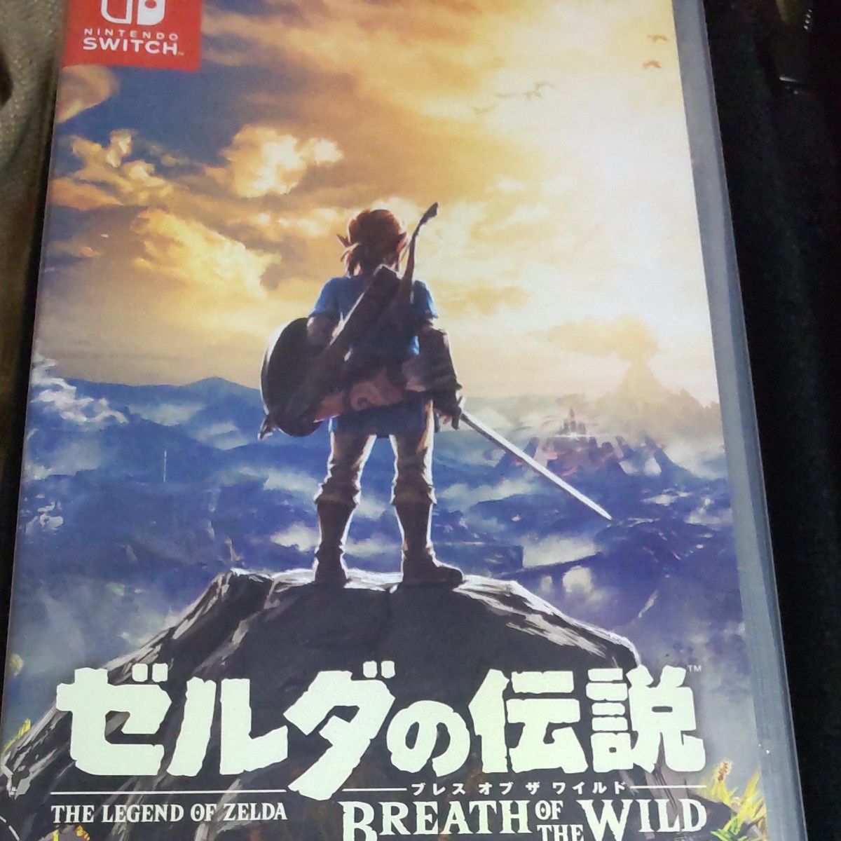 ゼルダの伝説 ブレスオブザワイルド Switch