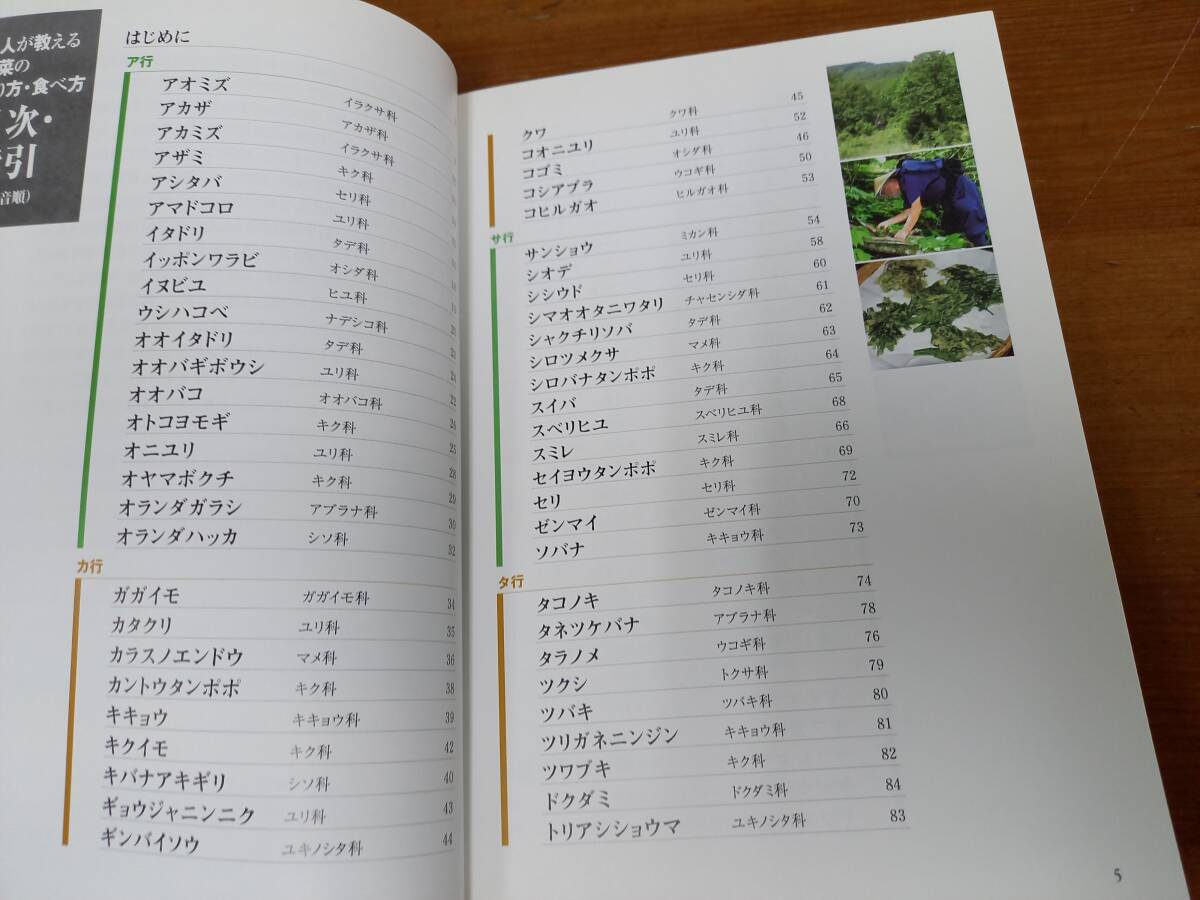 入手困難　書籍　名人が教える山菜の採り方・食べ方　監修　瀬畑雄三　F32403_画像5