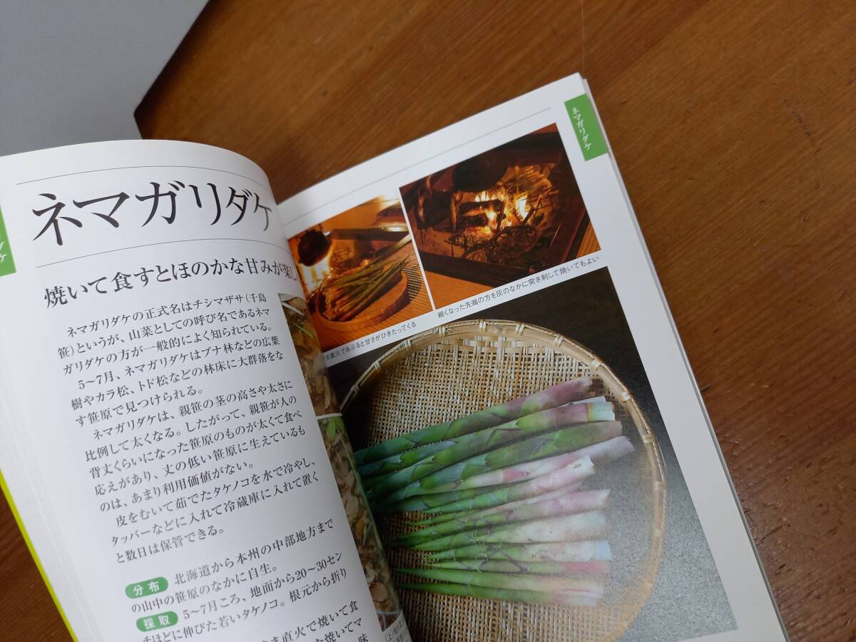 入手困難　書籍　名人が教える山菜の採り方・食べ方　監修　瀬畑雄三　F32403_画像9