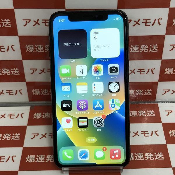 iPhoneXS 256GB docomo版SIMフリー バッテリー100% 美品[244416]