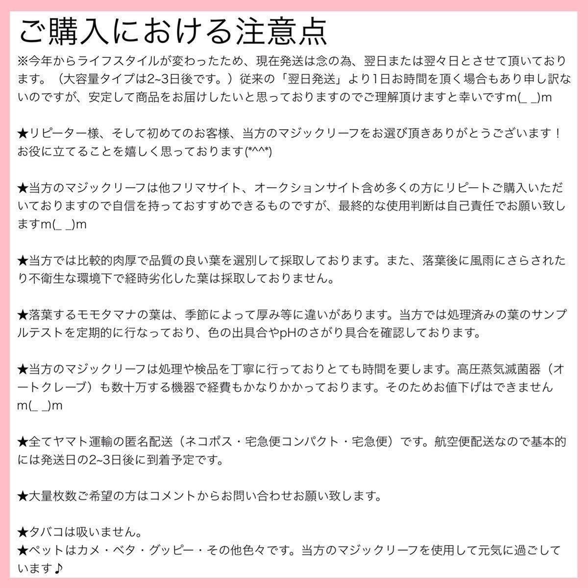 高圧蒸気滅菌済み沖縄県産無農薬モモタマナ　（マジックリーフ）　半クラッシュタイプ（破れの多い葉）240g（20cm前後の葉約120枚相当量）_画像10