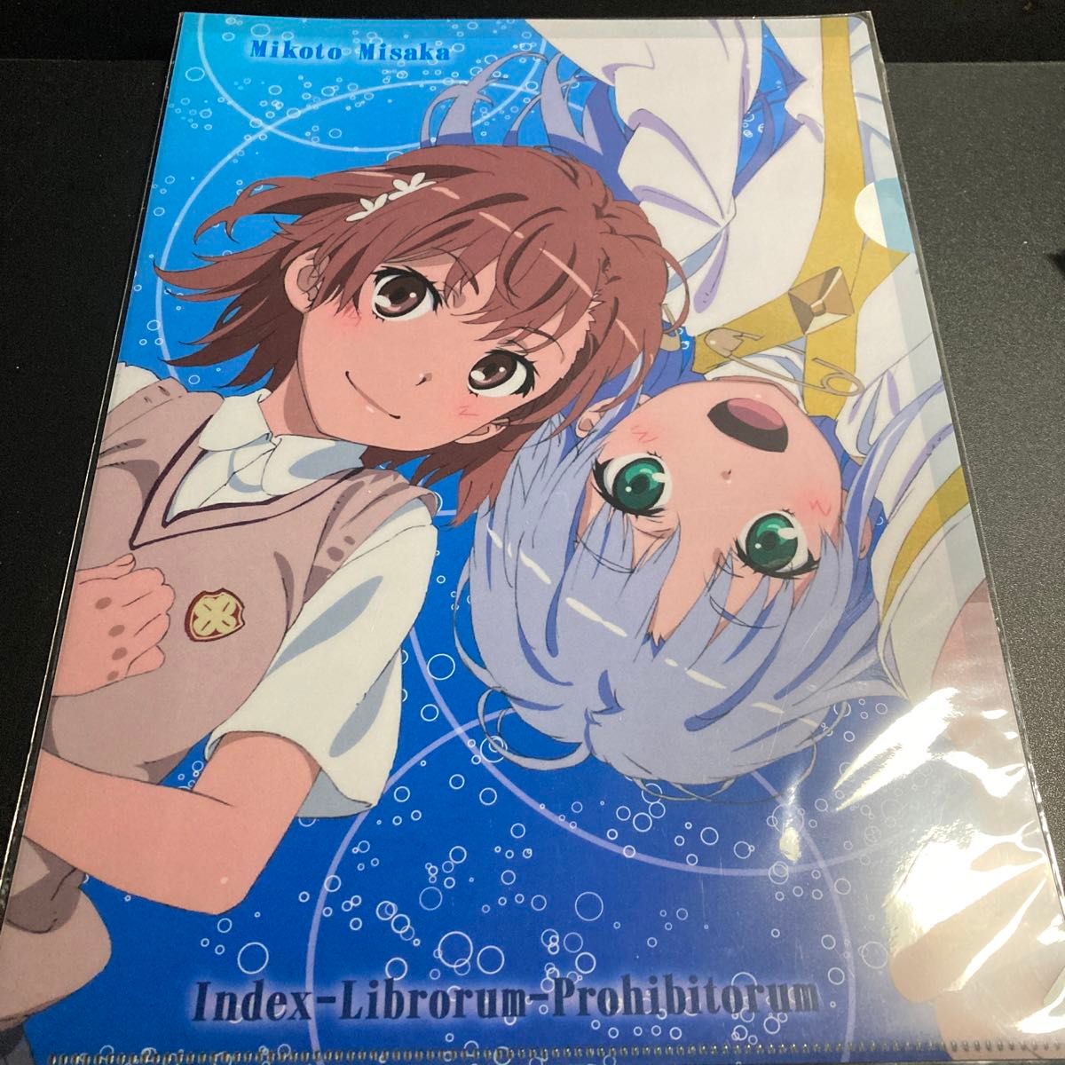 劇場版 とある魔術の禁書目録 エンデュミオンの奇蹟 クリアファイル 1枚 インデックス 御坂美琴 グッズ とある科学の超電磁砲