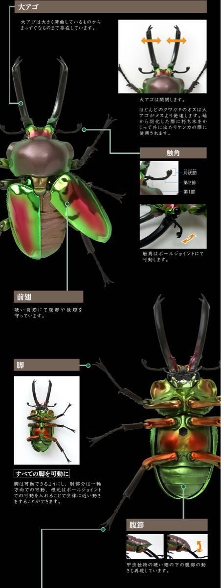 【新品】　ニジイロクワガタ（ダークブルー）　いきもの大図鑑アドバンス　バンダイ　生き物　ガチャ