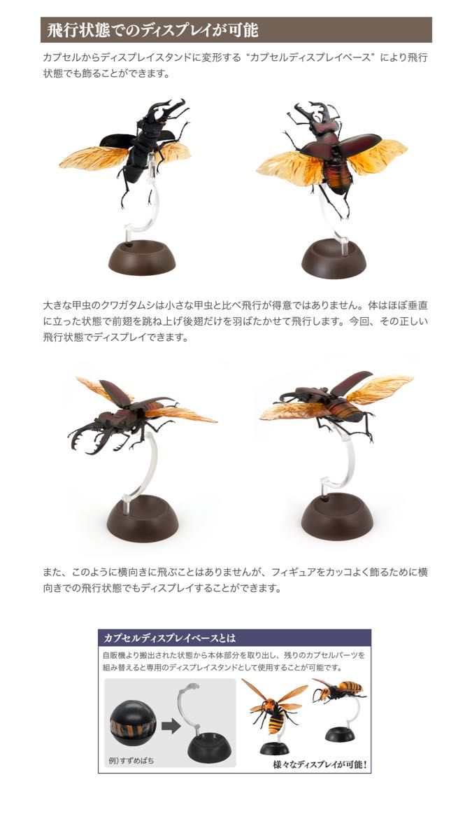 【新品】　マンディブラリスフタマタクワガタ　いきもの大図鑑くわがた02　バンダイ　生き物　ガチャ