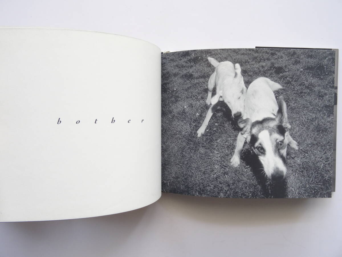 洋書◆子犬の写真集 本 イヌ いぬ シャロン・ビルス