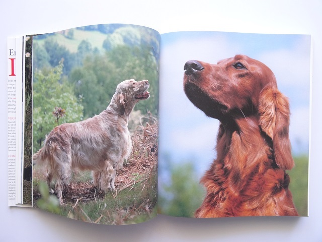洋書◆犬の写真集 百科事典 本 イヌ いぬ ブルース・フォーグル