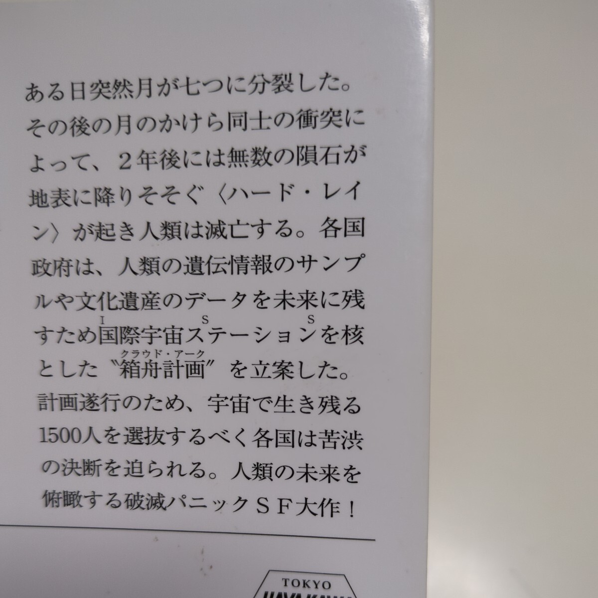 文庫2冊セット 七人のイヴ 上巻 下巻 ハヤカワ文庫 ニール・スティーヴンスン 日暮雅通 中古 SF 上 下 ハードレイン_画像3