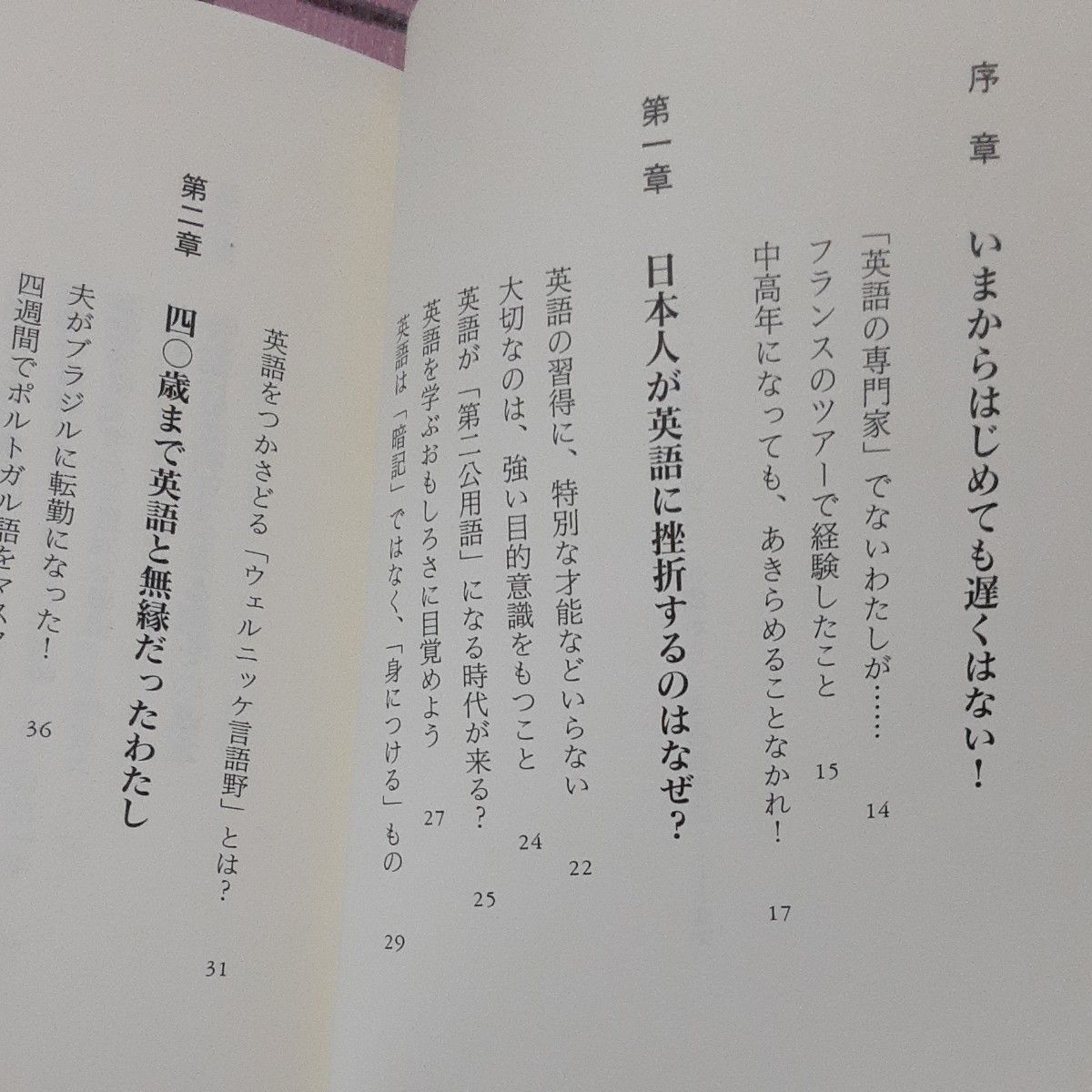 「読んで身につけた」４０歳からの英語独学法、英語確実に身につく技術　私はこうして実力をつけた