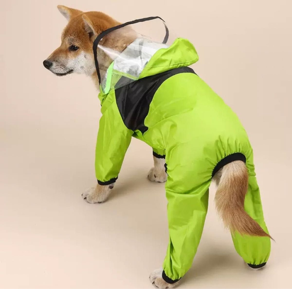 【即日発送】犬服　レインコート　フェイスカバー付き　スナップボタン　おしゃれ ドッグウェア
