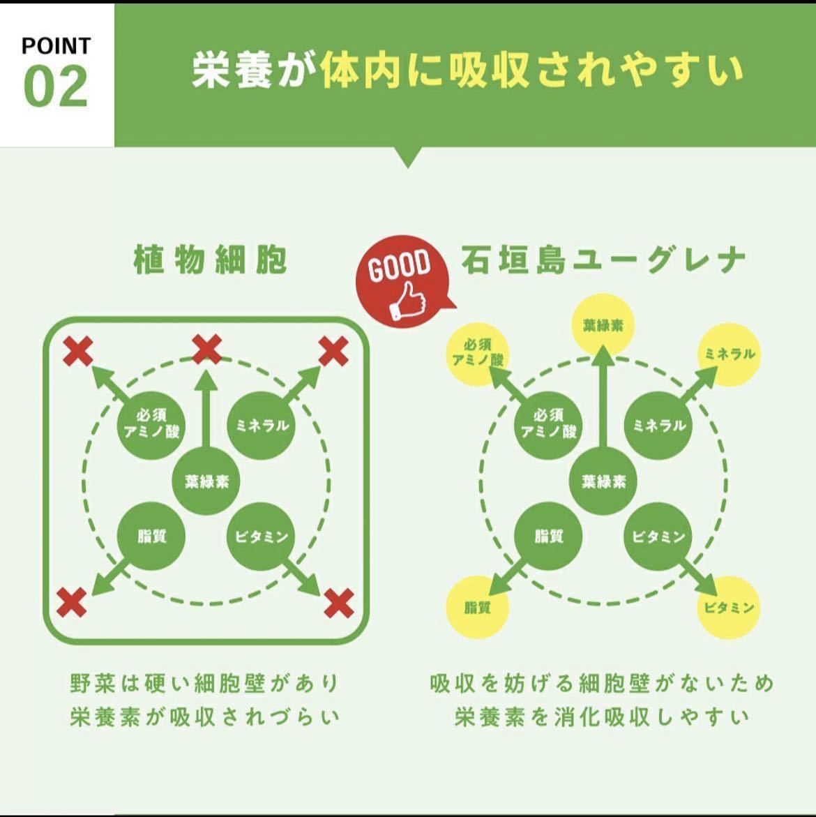 即日発送 からだにユーグレナ 青汁 3箱 60本 スティック 59種類の栄養素 石垣島ユーグレナ10億個 グリーンパウダー ダイエット サプリの画像9