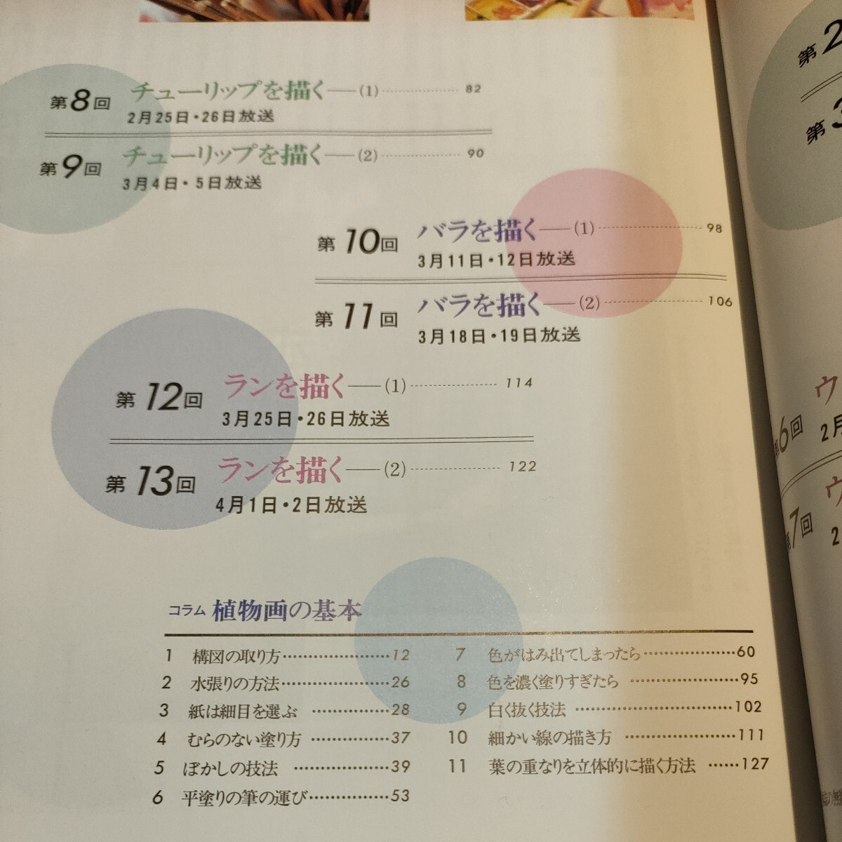 ボタニカルアートの楽しみ植物画を描く　NHK趣味百科平成9年1月〜3月定価1,000円_画像7