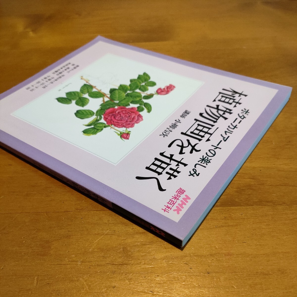 ボタニカルアートの楽しみ植物画を描く　NHK趣味百科平成9年1月〜3月定価1,000円_画像4