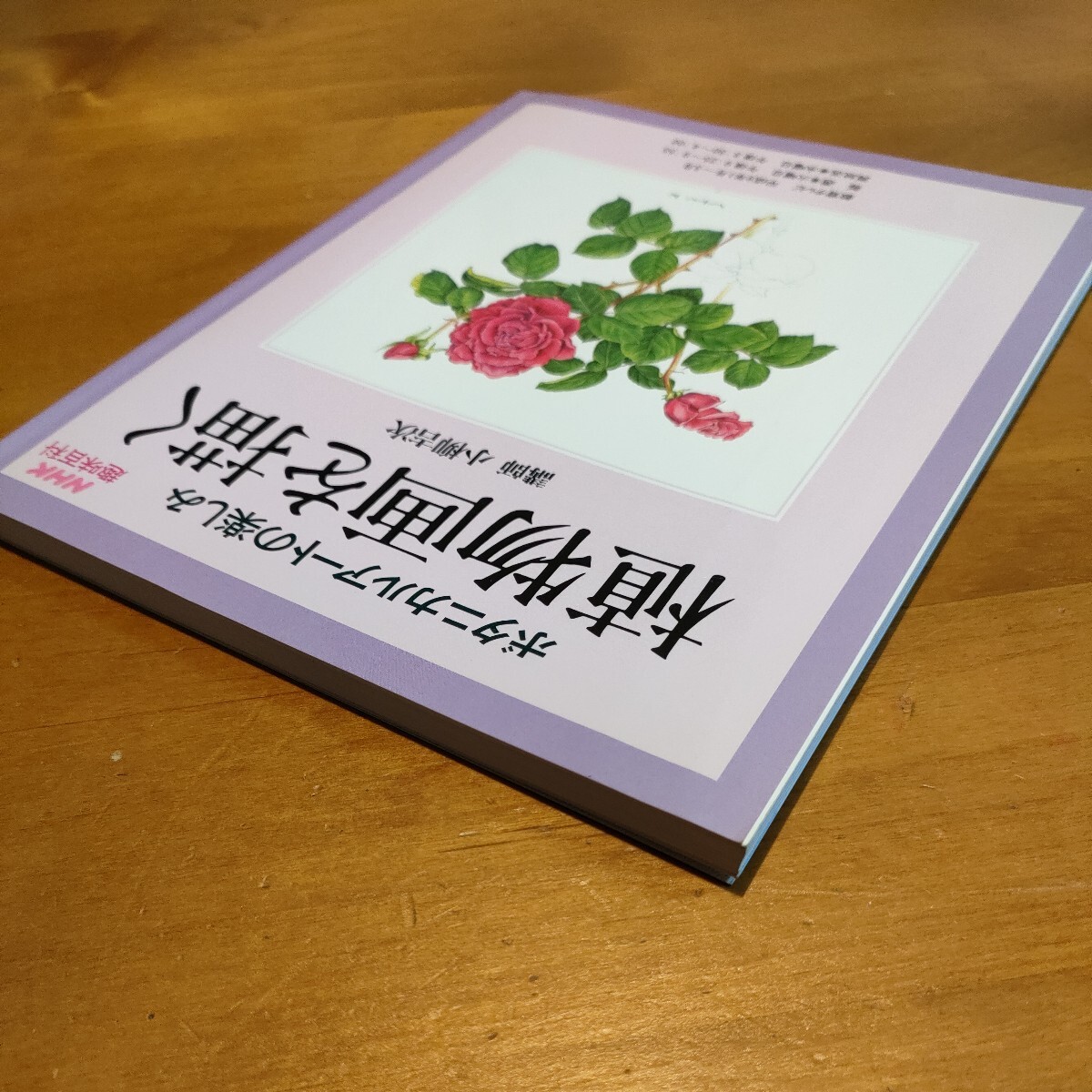 ボタニカルアートの楽しみ植物画を描く　NHK趣味百科平成9年1月〜3月定価1,000円_画像3