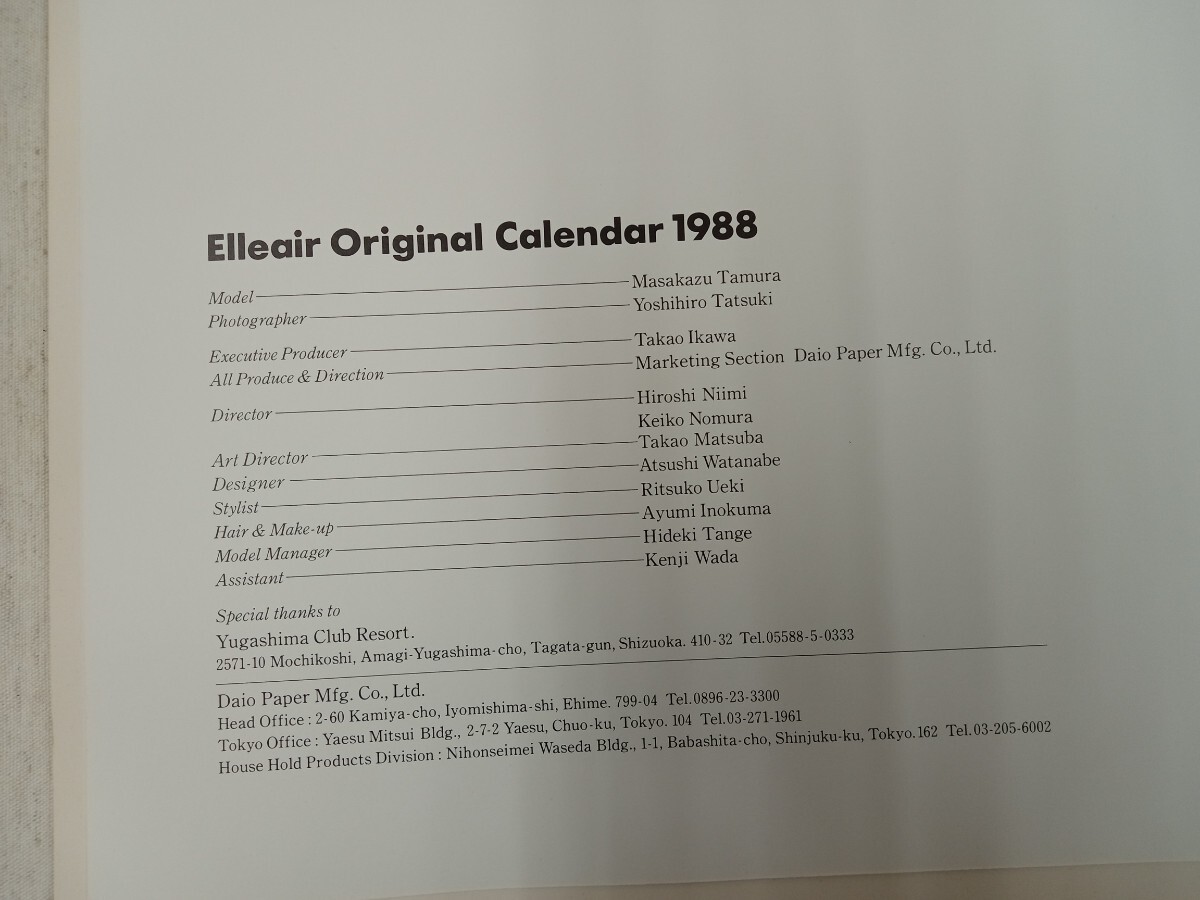 * ultra rare * the great made paper elie-ru1988 year Tamura regular peace original calendar . tree .. photographing 