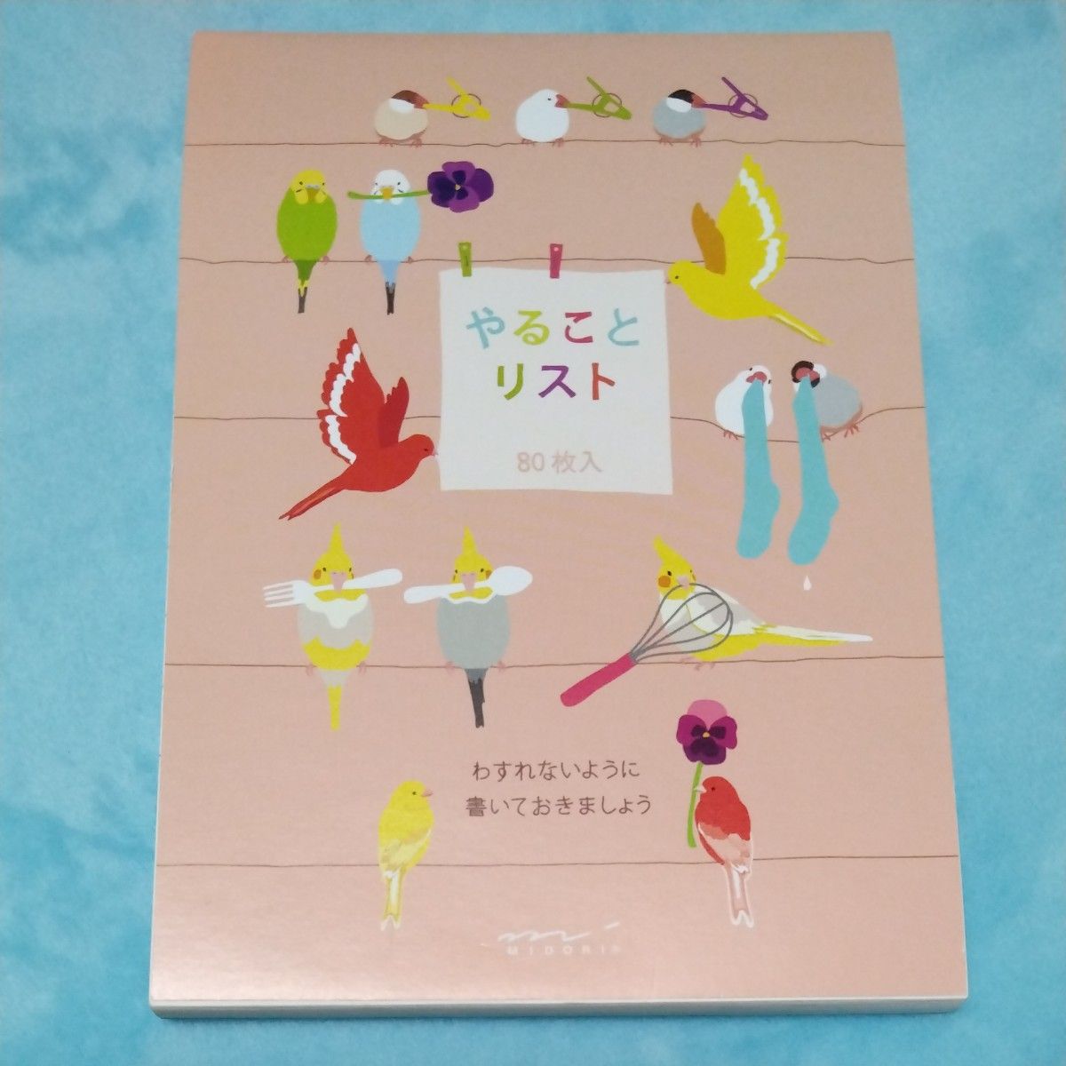 小鳥メモ　やることリスト　セキセイインコオカメインコ文鳥カナリア　インコグッズ鳥用品ことり雑貨　デザインフィルミドリカンパニー