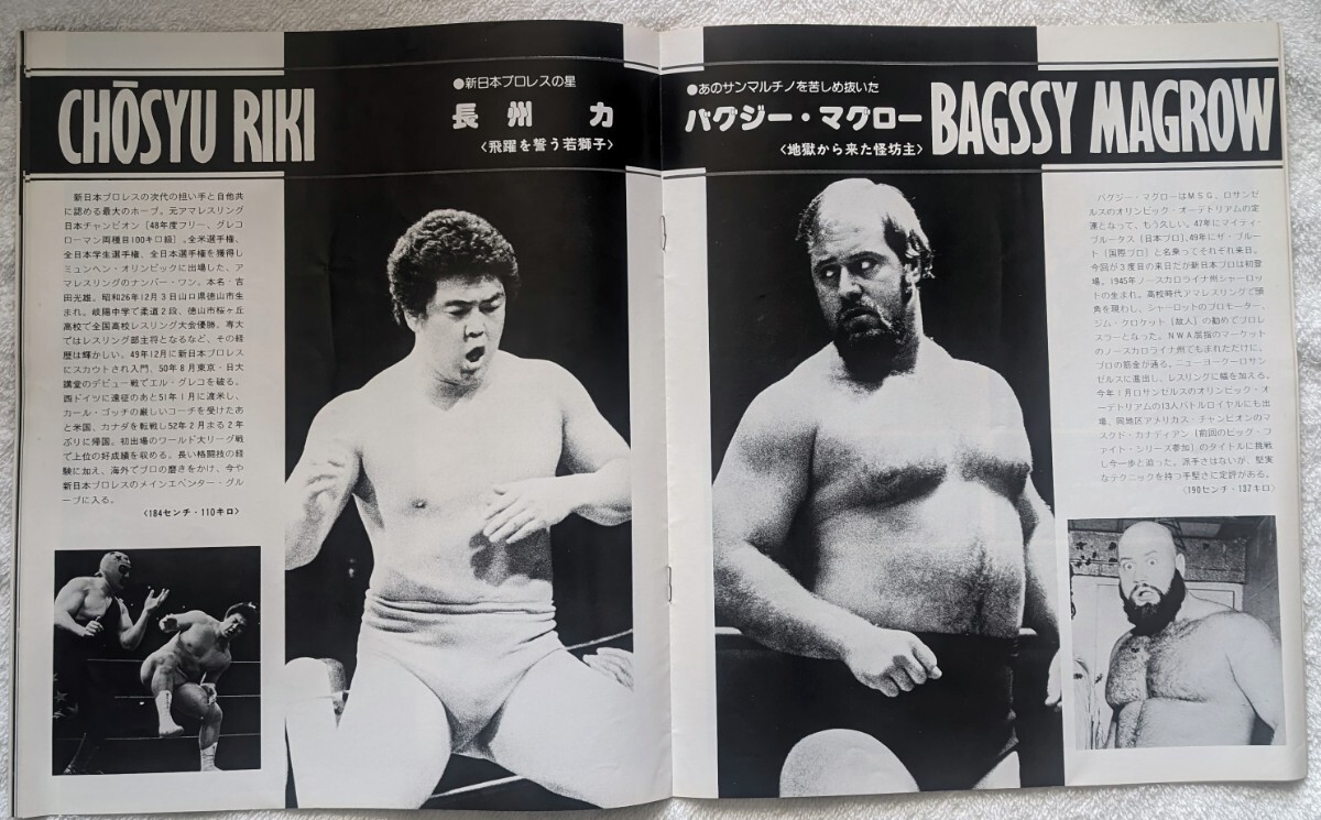 1978年(昭和53年)『第1回MSGシリーズ』パンフレットの画像6