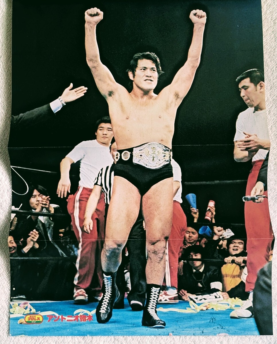 月刊DXプロレス1980年(昭和55年)1月号~12月号　　『1年分が揃ってます』_画像4