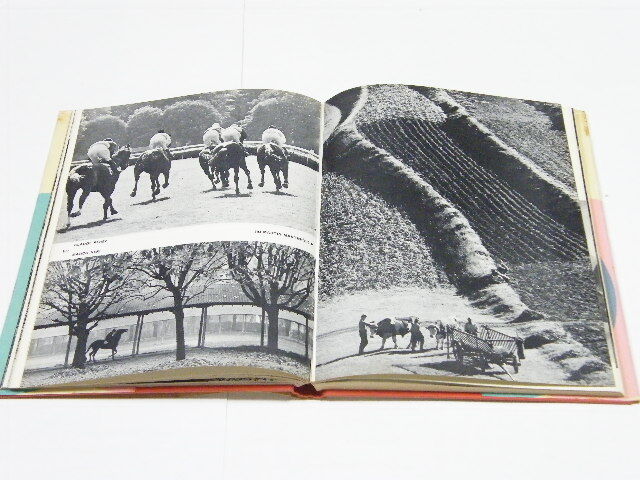 ◎ BJP ANNUAL 1968 The British Journal of Photography Annual 1968 / 1968年の写真年間_画像6
