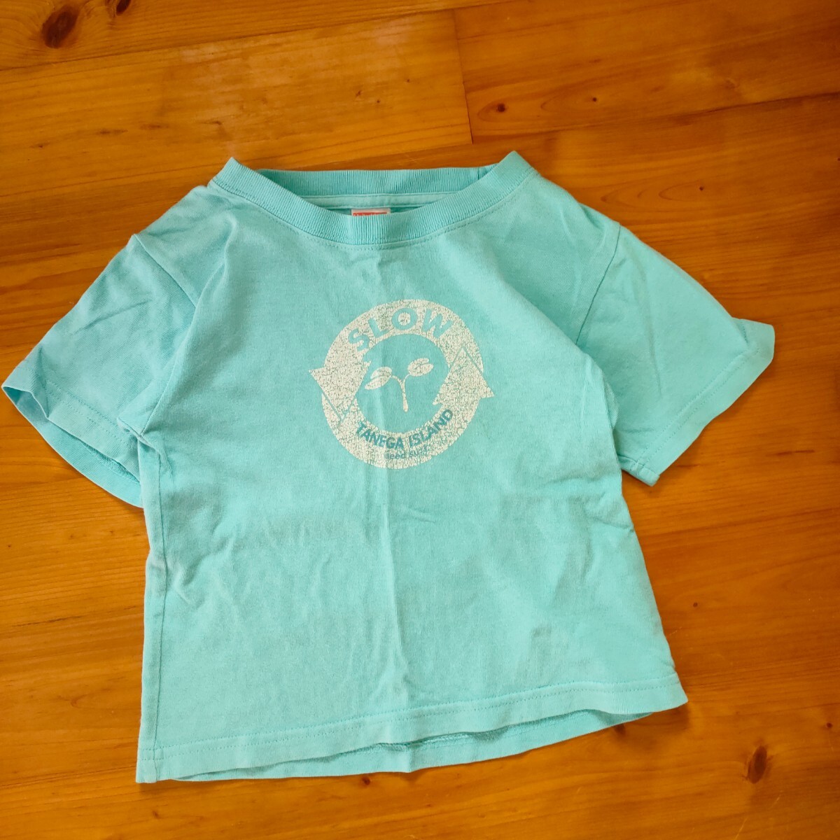 100(95-05 ブルーのコットン半袖Tシャツ　男の子女の子　夏　トップス2着 カットソー_画像9