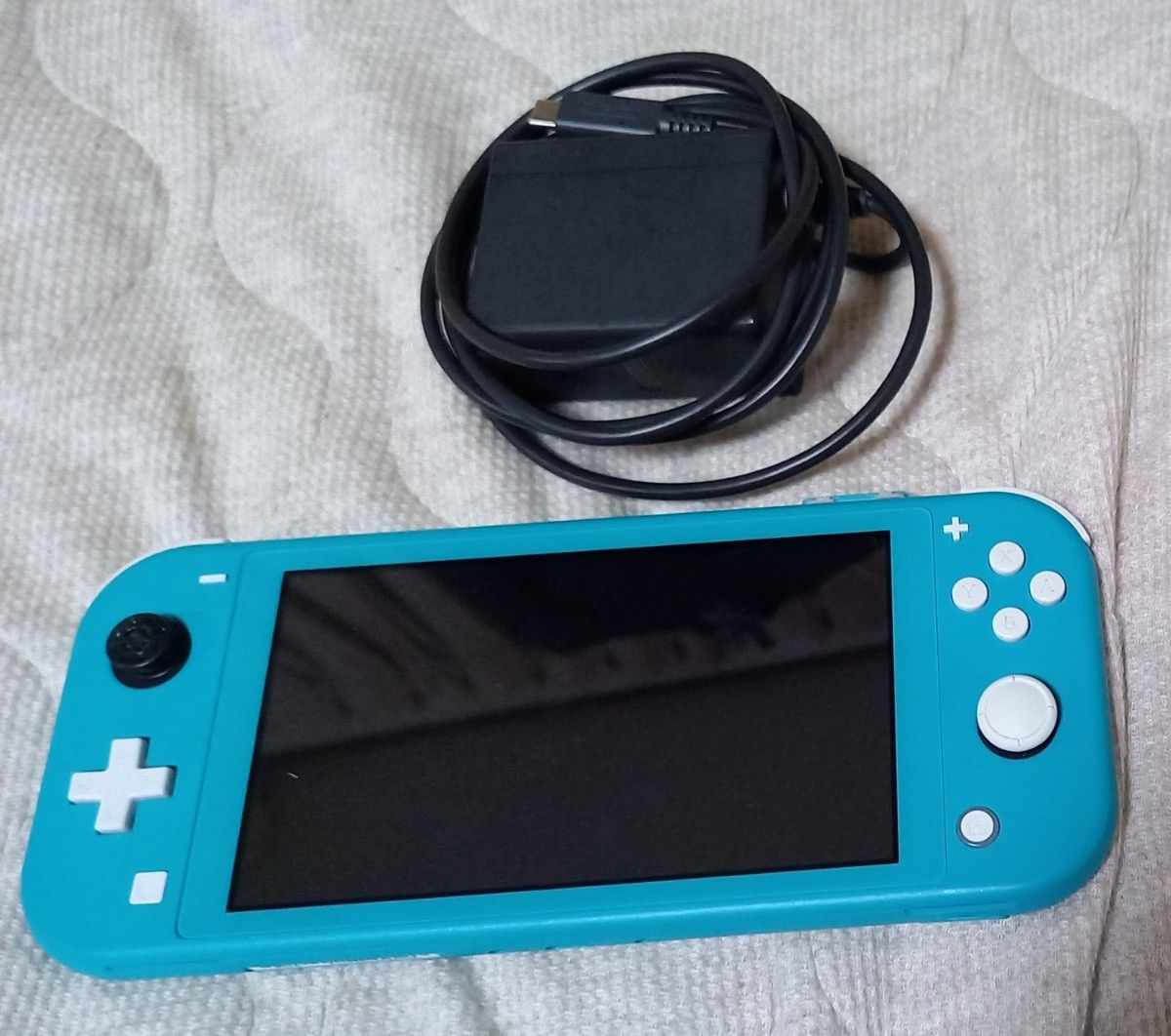 2019 　ニンテンドースイッチライト ターコイズ 本体と充電器　 Switch 