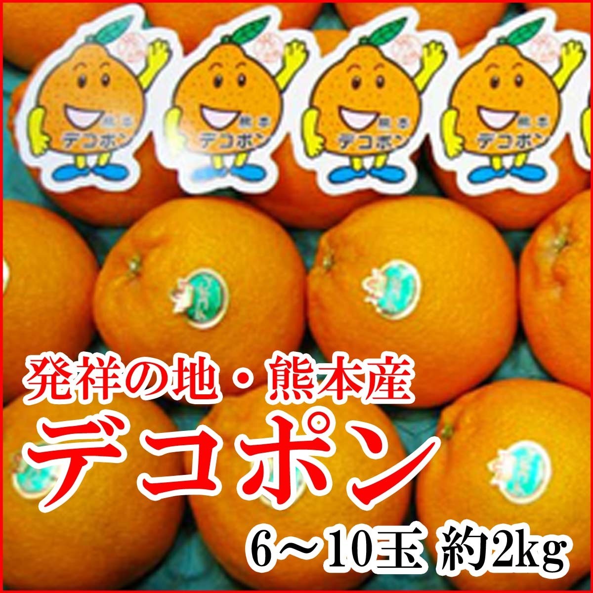 【Good】大量出品！発祥の地・熊本産 デコポン JA熊本果実連 6～10玉 約2kg_画像1