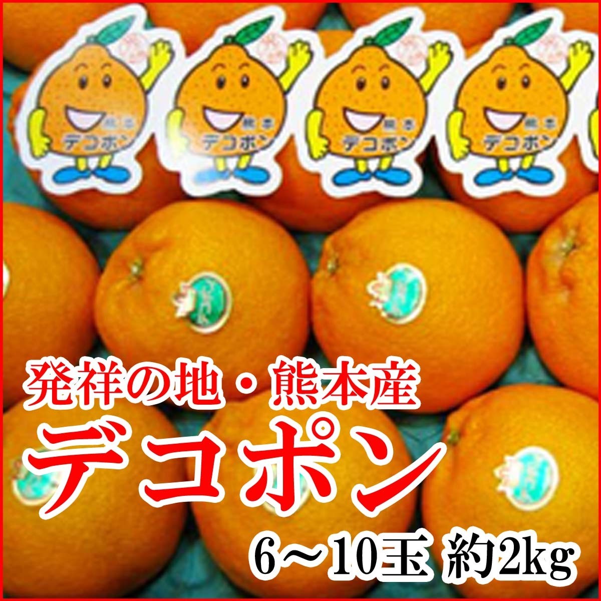 【Good】大量出品！JA熊本果実連 熊本産 デコポン 6～10玉約2kg_画像1