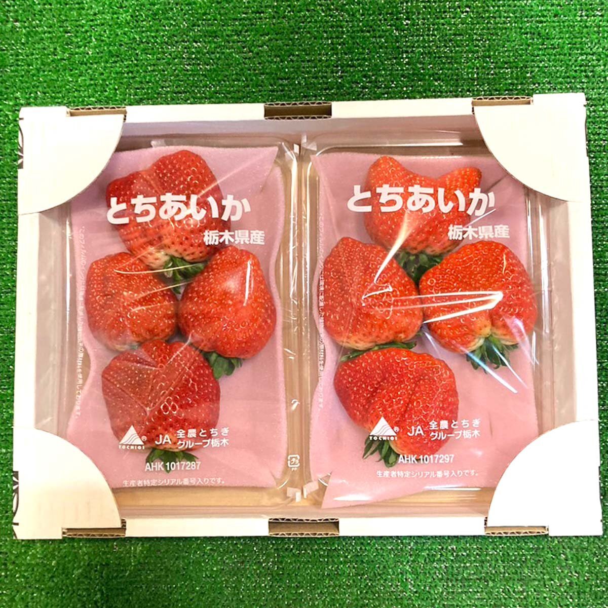 【Good】たっぷり10パック入り！！大量5箱！新品種 栃木県産オリジナル いちご『とちあいか』_画像5