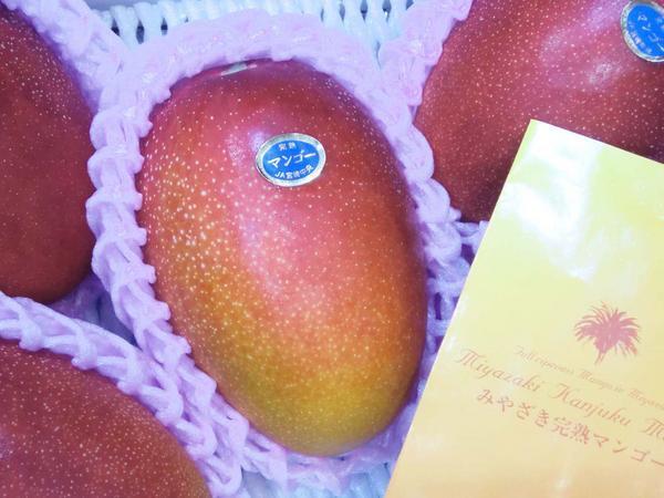 【Good】宮崎産 みやざきマンゴー『宮崎完熟マンゴー』3玉 約1kg ご予約の画像2