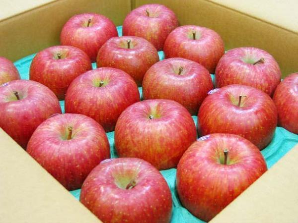【Good】りんごの王様！青森産『サンふじ』14～18玉 約5kg_画像1