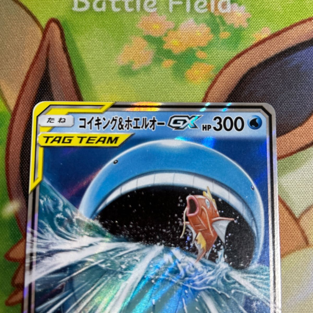 コイキング&ホエルオーgx ポケモンカード ポケカ RR|Yahoo コイキング&ホエルオーgx ポケモンカード ポケカ RR|Yahoo