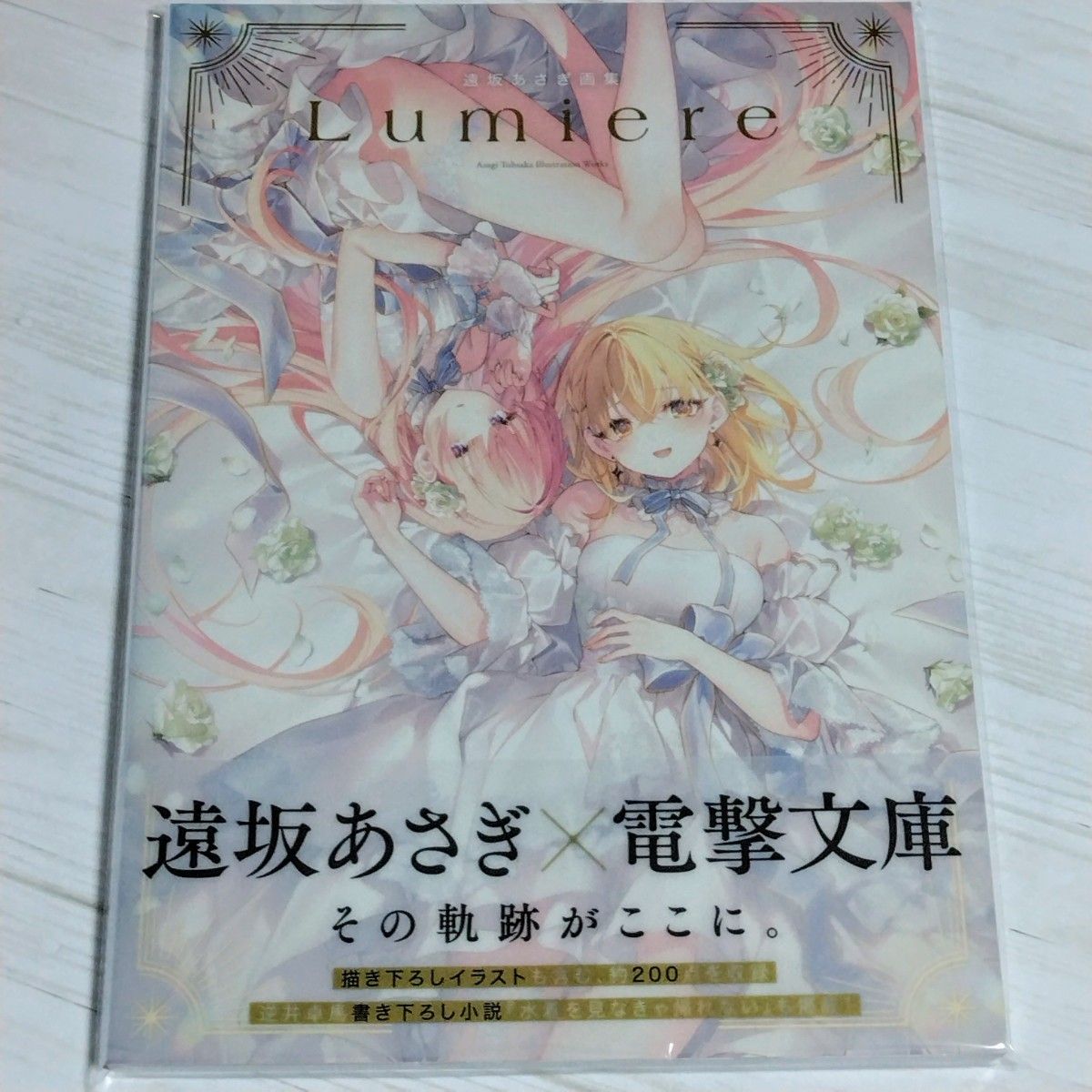 遠坂あさぎ 画集 Lumiere 豚のレバーは加熱しろ