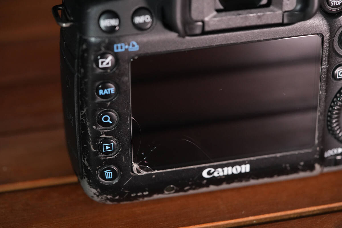 CANON 5D Mark iii ボディ 2の画像4