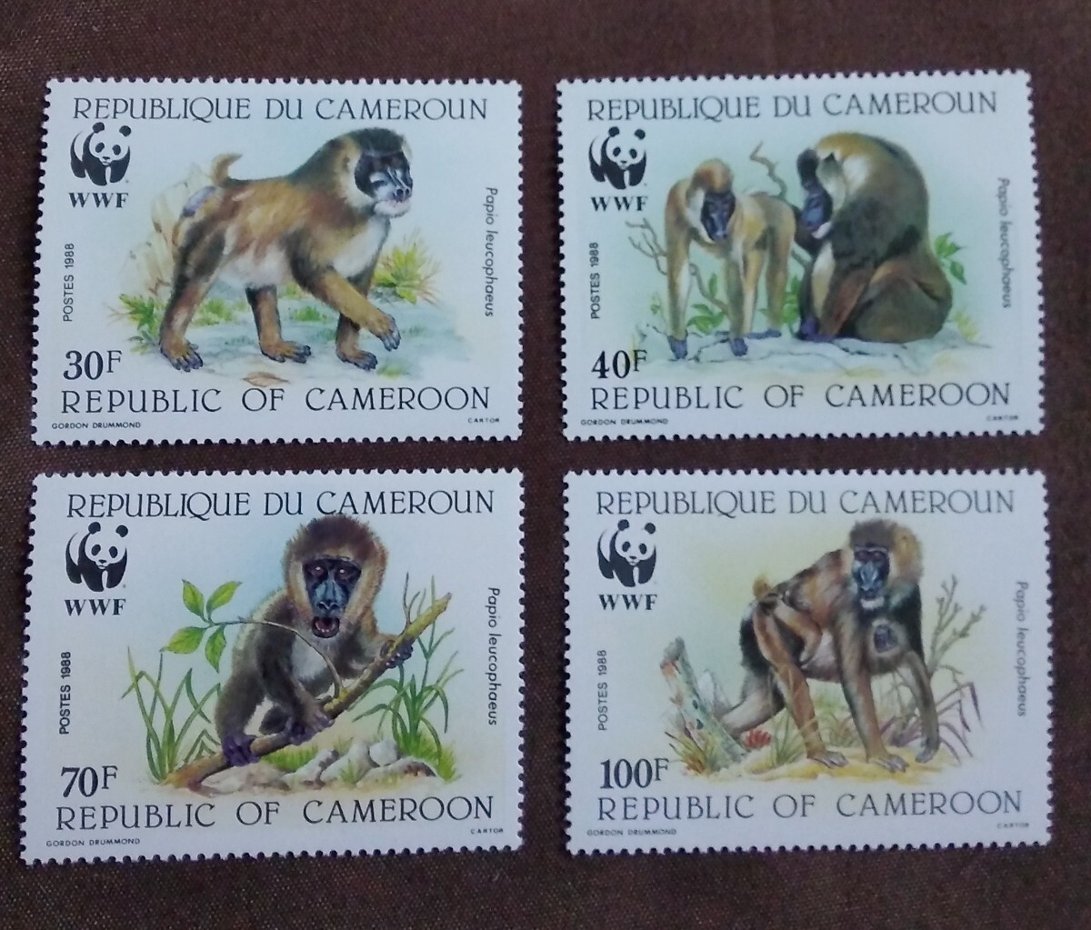 カメルーン　1988 ドリル　4完 WWF （世界自然保護基金）　未使用糊あり サル　動物　ヒヒ　_画像1