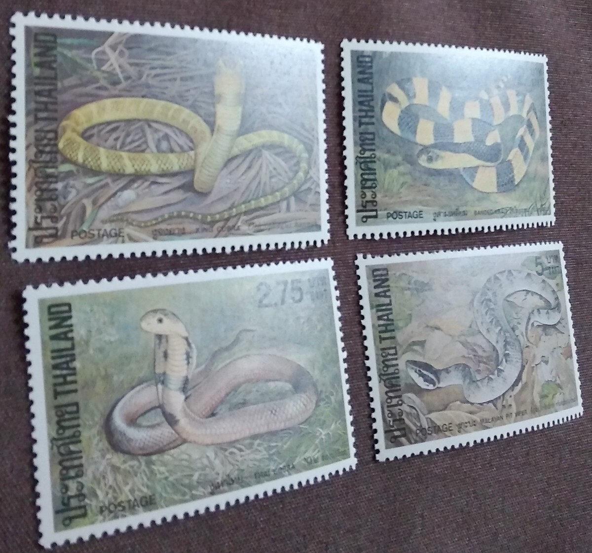 タイ　1981 ヘビ　4完 未使用糊あり　蛇　コブラ　へび　爬虫類_画像7