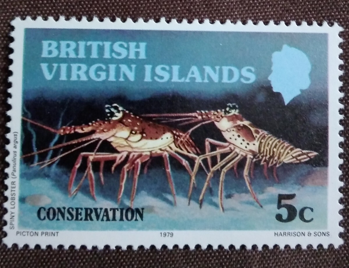 イギリス 領 バージン諸島 1979.2.10 自然保護 4完 未使用糊あり エビ カメ イグアナ 黒サンゴ 爬虫類 海 生き物 動物の画像3