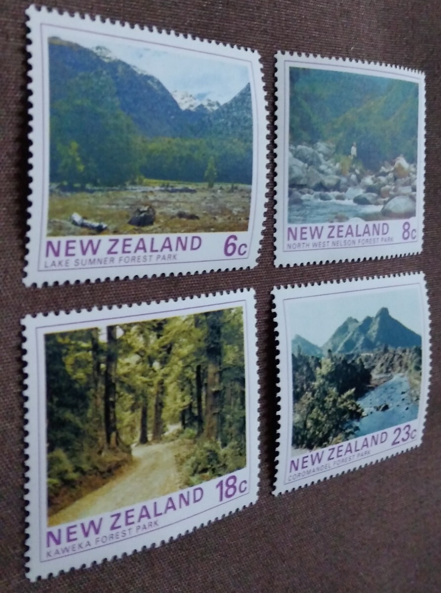 ニュージーランド　1975.6.4 森林公園　4種 風景　自然　_画像7