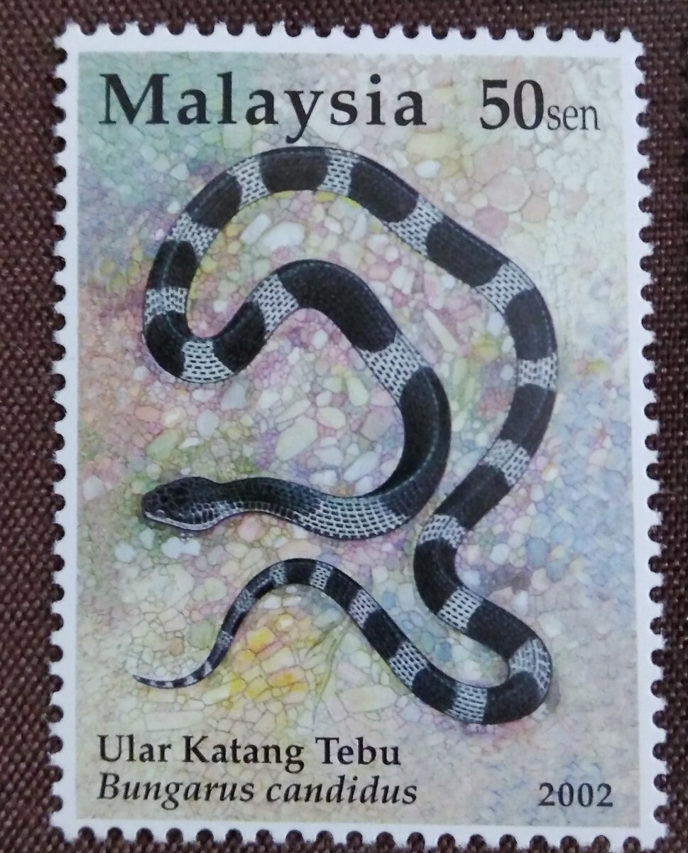 マレーシア　2002 ヘビ　4完 未使用糊あり　蛇　へび　爬虫類_画像5