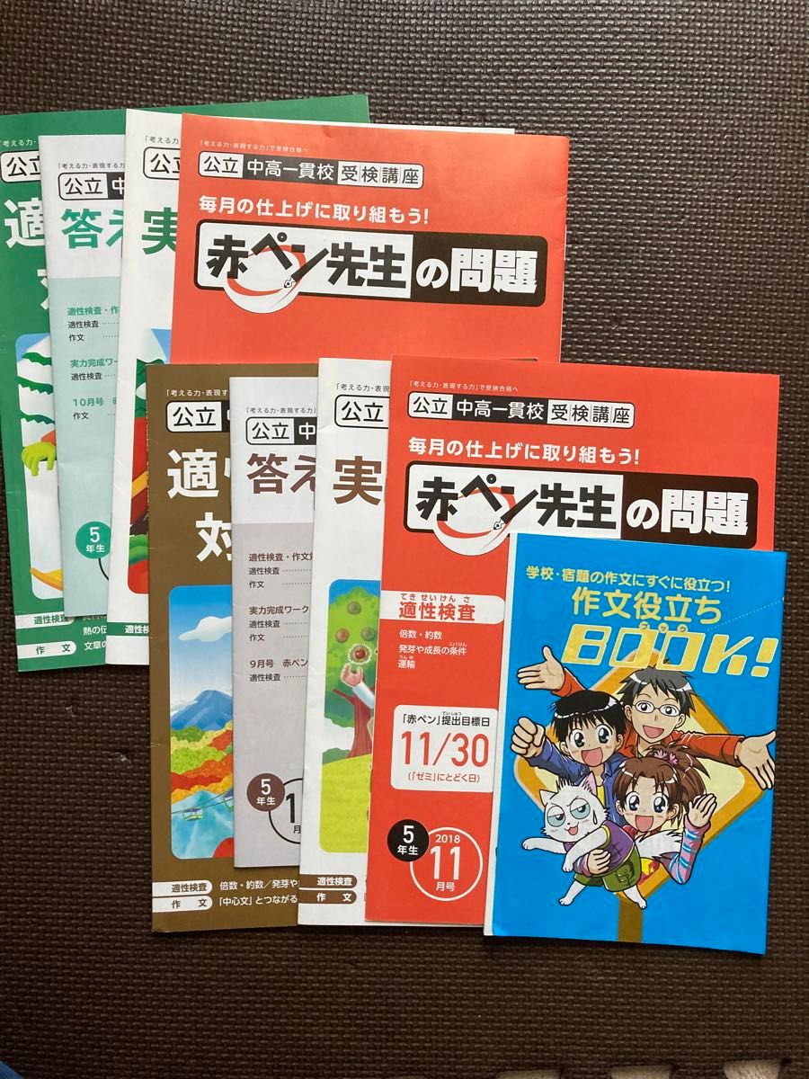 進研ゼミ　小学講座　5年生　公立中高一貫校受験講座　適性検査、作文対策テキスト（答えと考え方の本付き