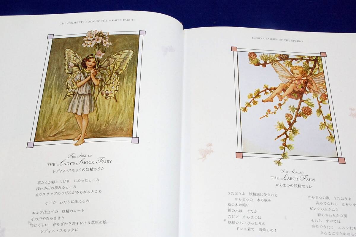 sisi Lee. Mary -. Barker / white stone number . translation [ flower fea Lee z] Fairy of Flower .. collector's edition # graphic company - series all 8 volume . summarize .