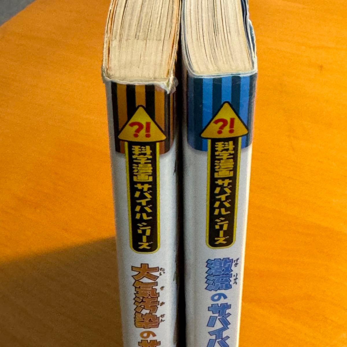 【2冊セット】大気汚染のサバイバル、激流のサバイバル