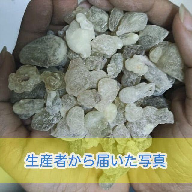 オマーン産 最高級 フランキンセンス 樹脂香 ロイヤルグリーン 乳香 レジン お香 インセンス 50g Oman Royal Green Hojari Frankincense_画像7