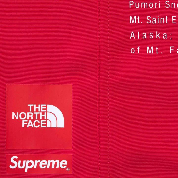 S Supreme/The North Face Nylon Short_画像4