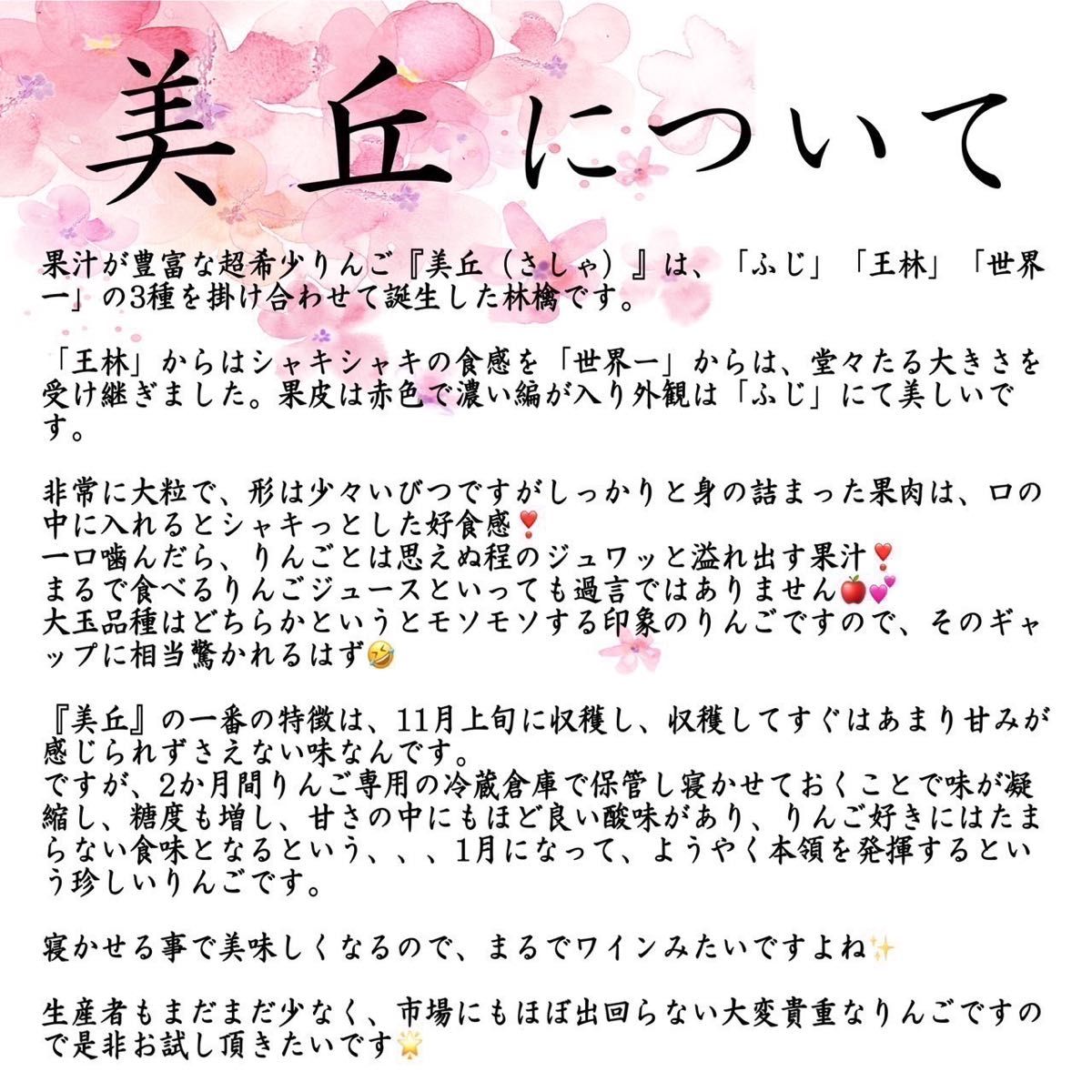 ＂ 美丘 (さしゃ) ＂【希少品種】【青森県産りんご5kg】【産地直送】【即購入OK】【送料無料】家庭用 りんご リンゴ 林檎