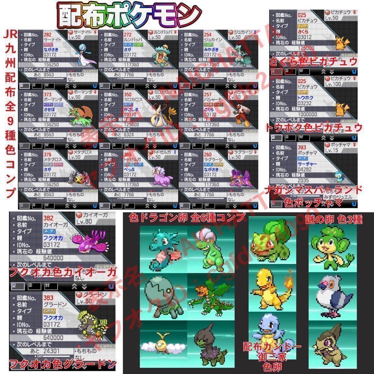 ★ポケットモンスター ブラック★ポケモン 中古ソフト DS_画像3