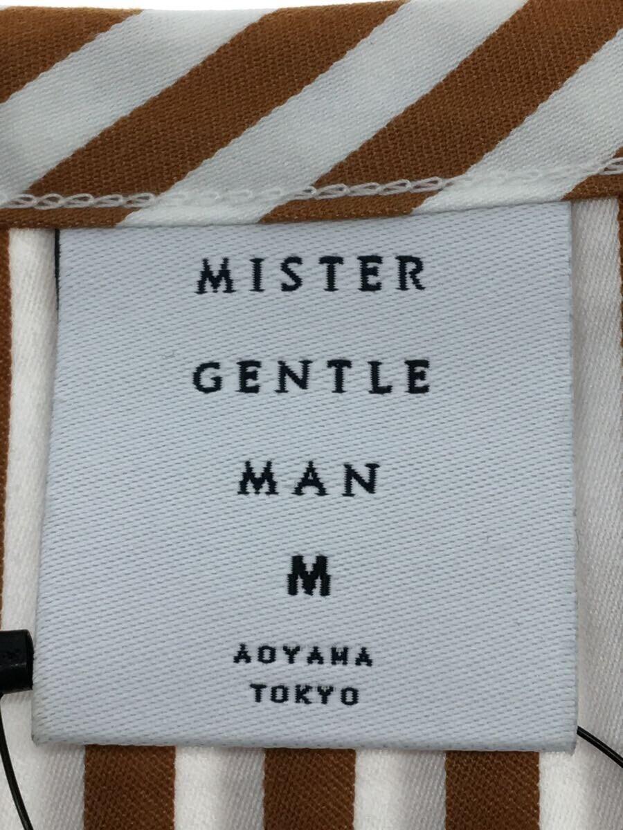 Mr.GENTLEMAN◆ストライプ/グリーン/Tシャツ/M/コットン/GRN/無地/MGT-CS05//_画像3